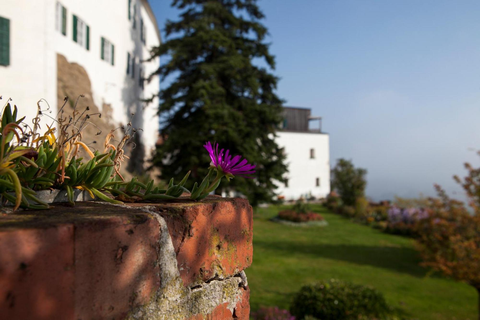 Schloss Kapfenstein Bagian luar foto